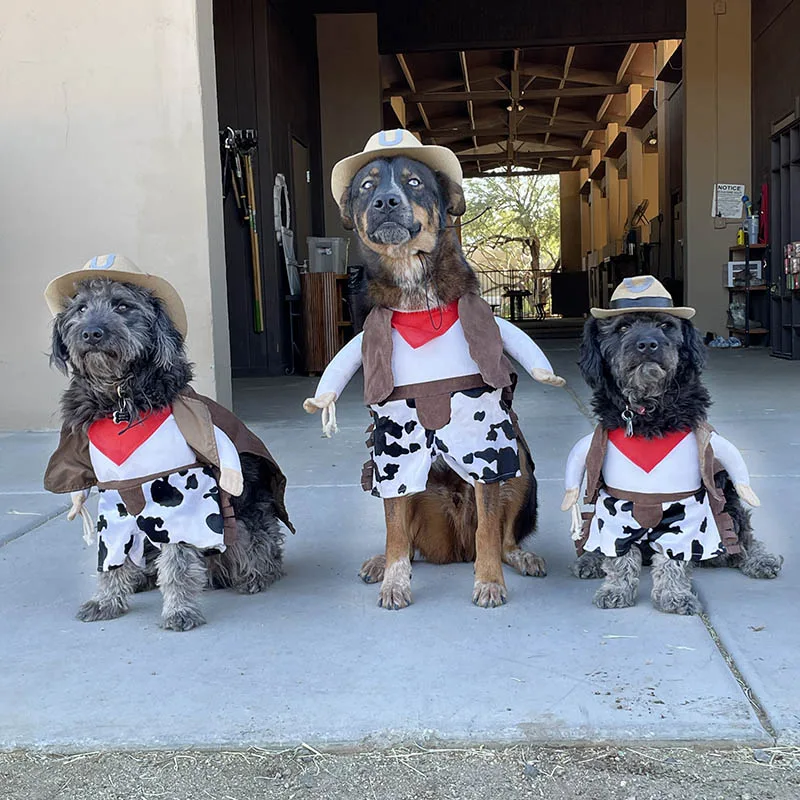 bennett-smokey-buck