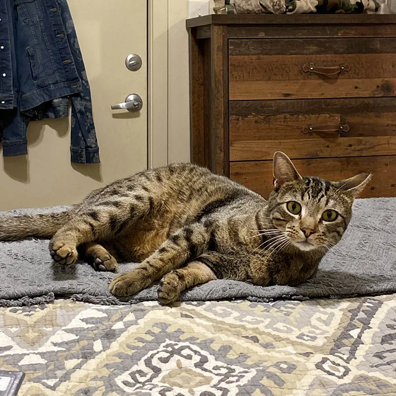 jerry